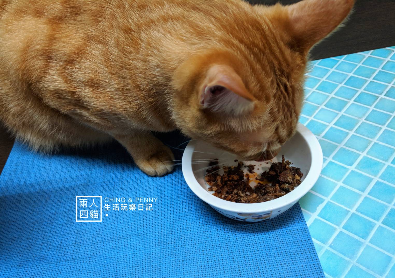 Oki生鮮食肉骨》 70%含水量以上的貓狗鮮食肉餅體驗