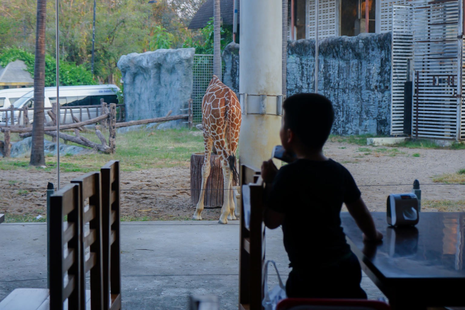 亞洲最大的夜間動物園！清邁夜間動物園｜超近距離餵長頸鹿 (KKday行程心得)
