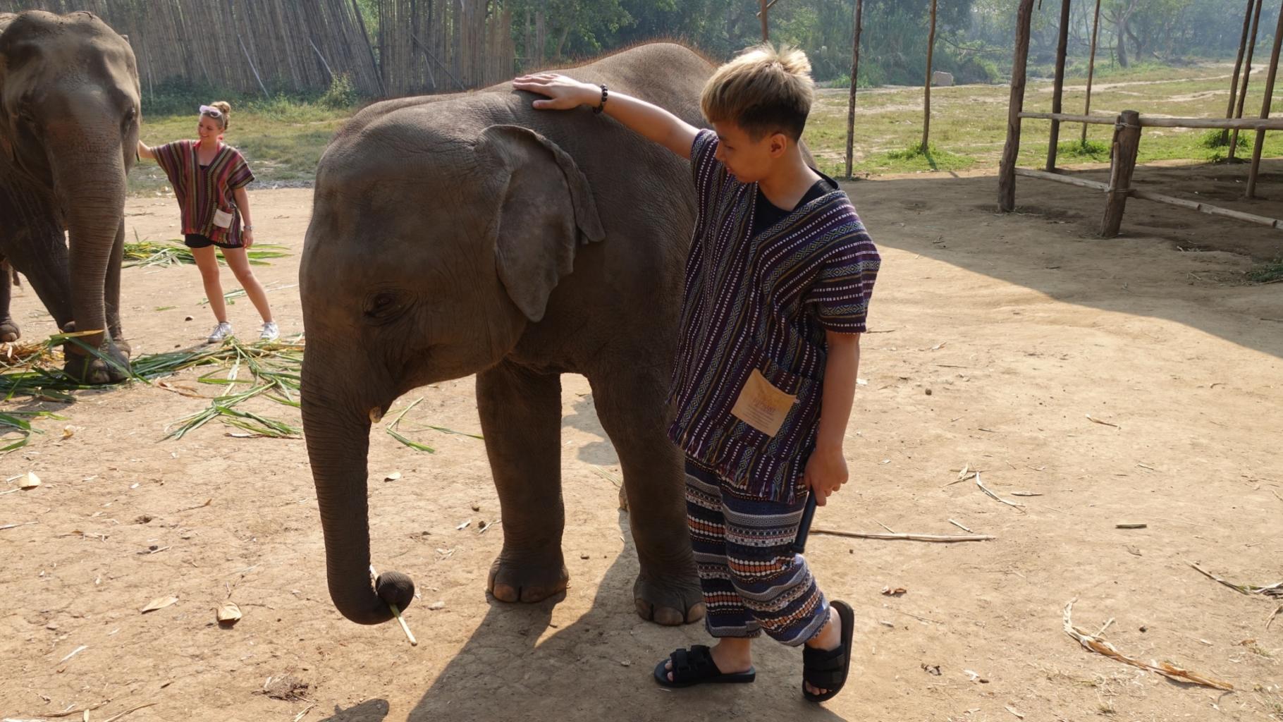 清邁大象友善營(半日)｜和大象一起玩水、泥巴浴 近距離互動
