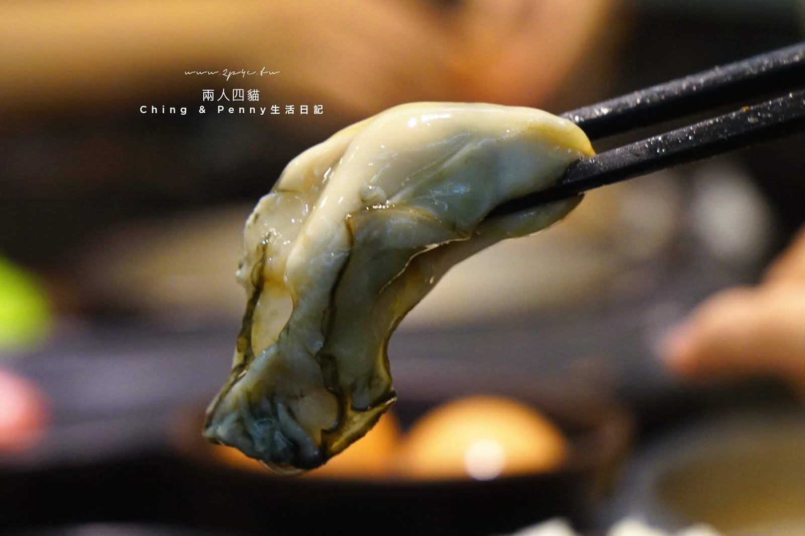 板橋化饈火鍋｜2019新開幕 食材新鮮實在的板橋火鍋