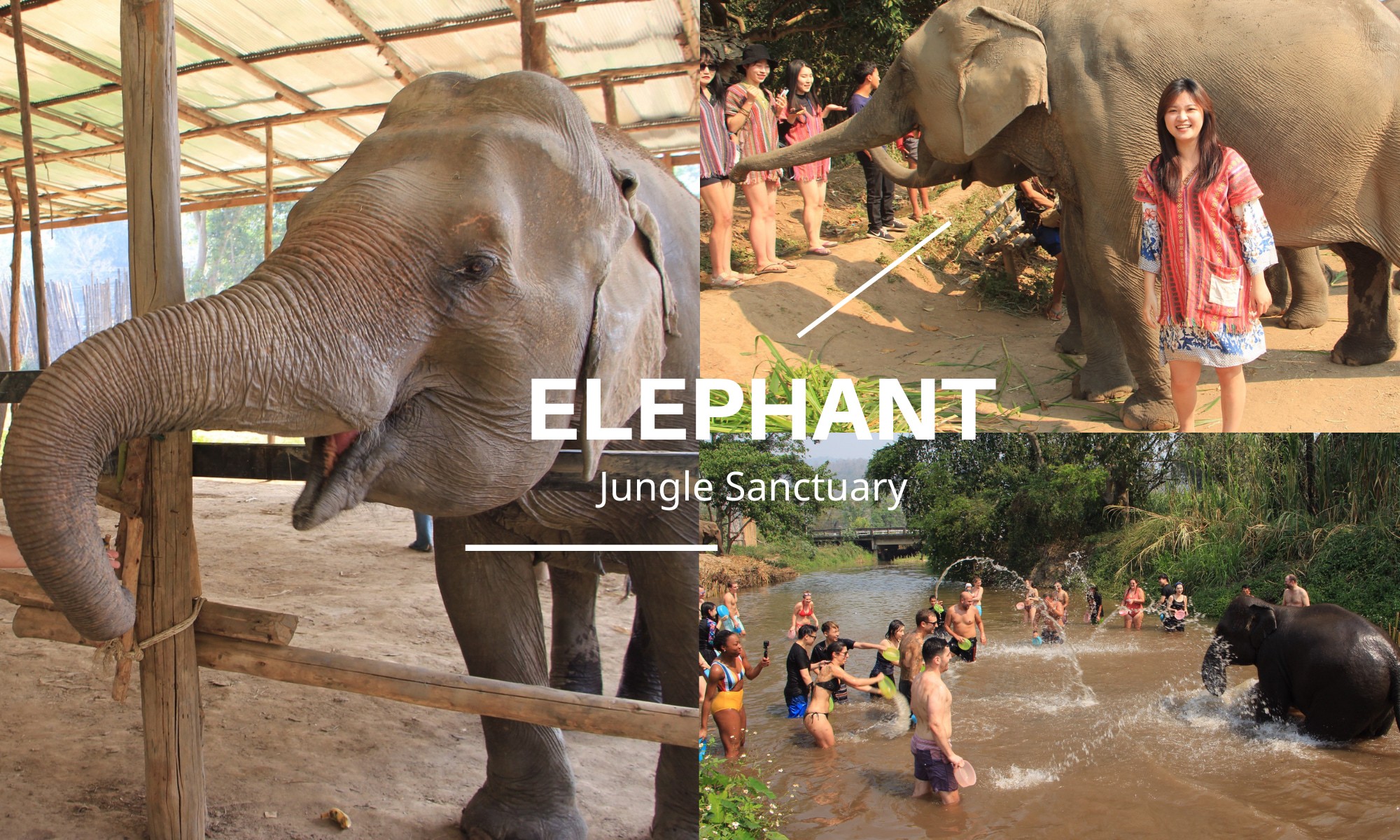 清邁大象友善營(半日)｜和大象一起玩水、泥巴浴 近距離互動