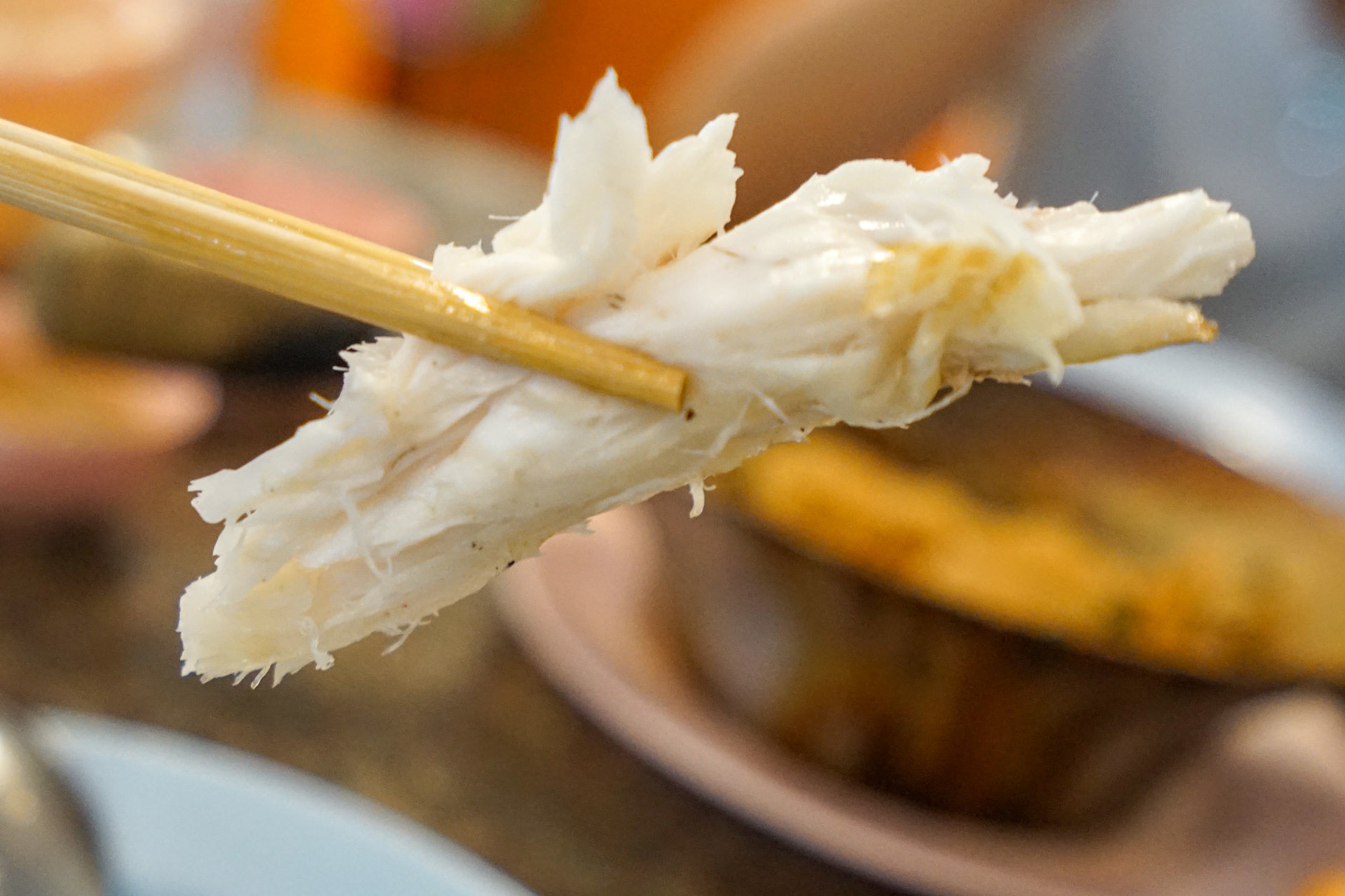 大城蝦市場》旅泰友人帶路，大城大頭蝦批發市場 超便宜泰國蝦