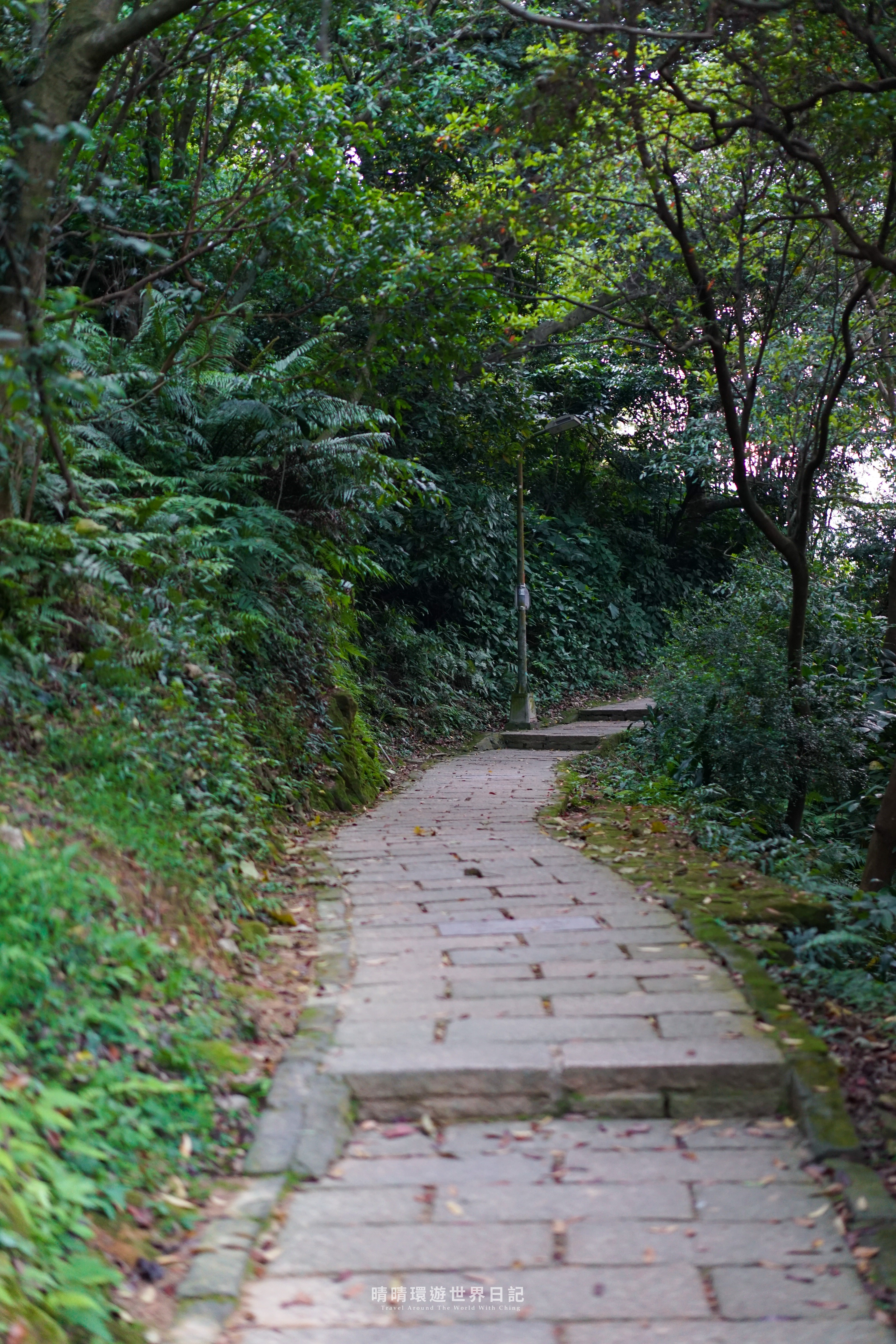 台北虎山夜景》不用爬山，步行十分鐘就能拍到超近絕美101夜景