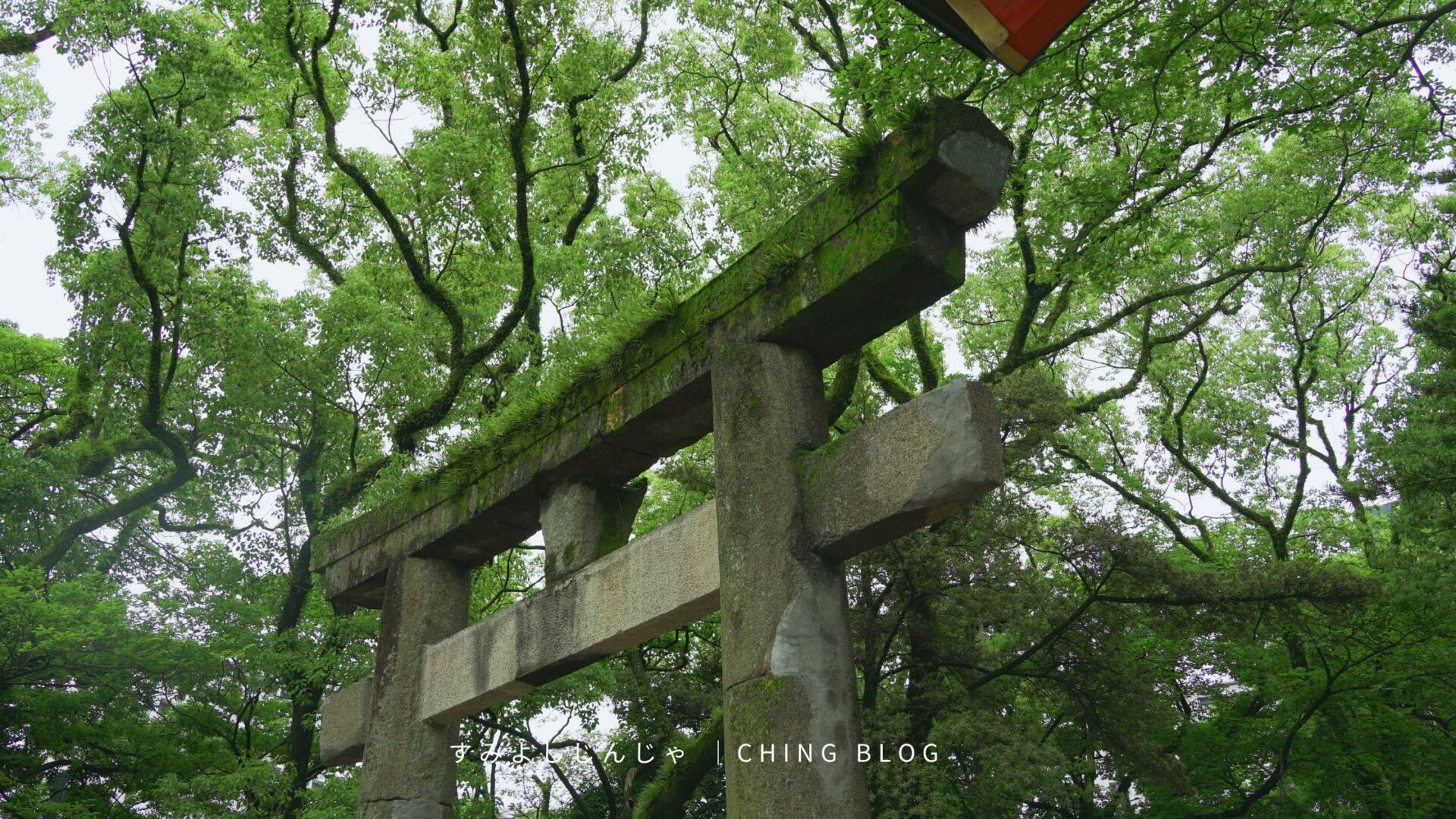 造訪福岡住吉神社－抽一支下半年的財運簽吧 | 福岡旅遊景點介紹